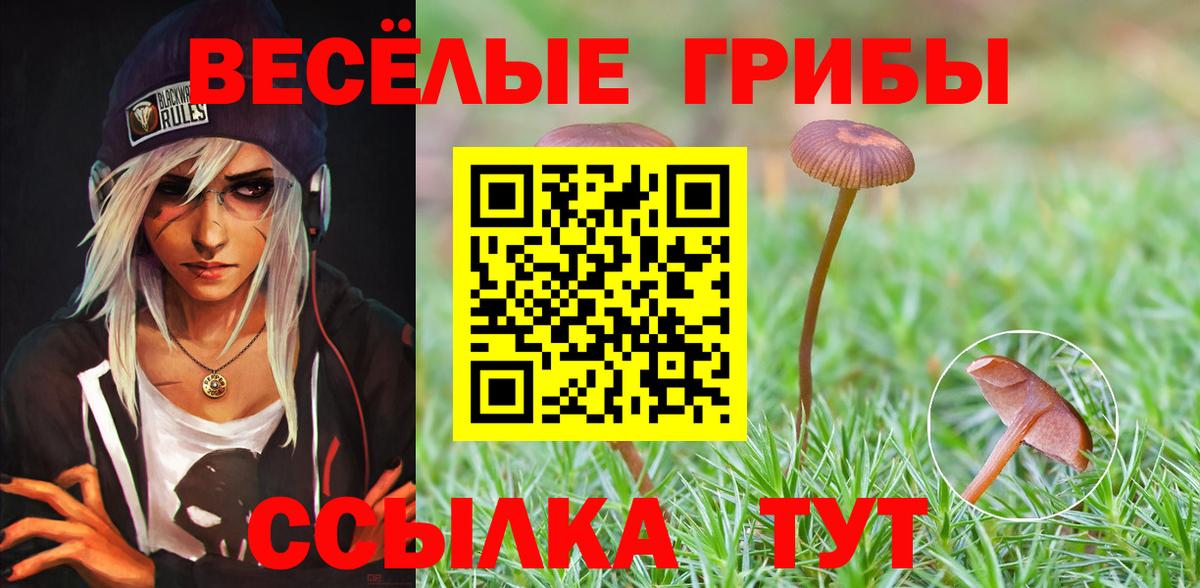 Галлюциногенные грибы Psilocybine cubensis  Вход с VPN  Шелехов 