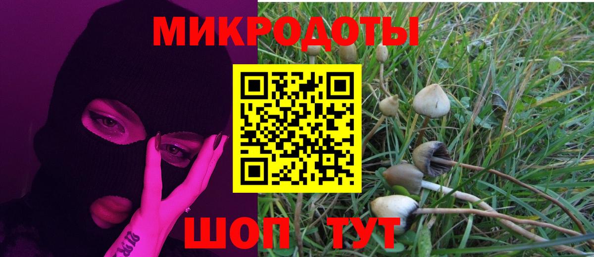Псилоцибиновые грибы GOLDEN TEACHER Шелехов